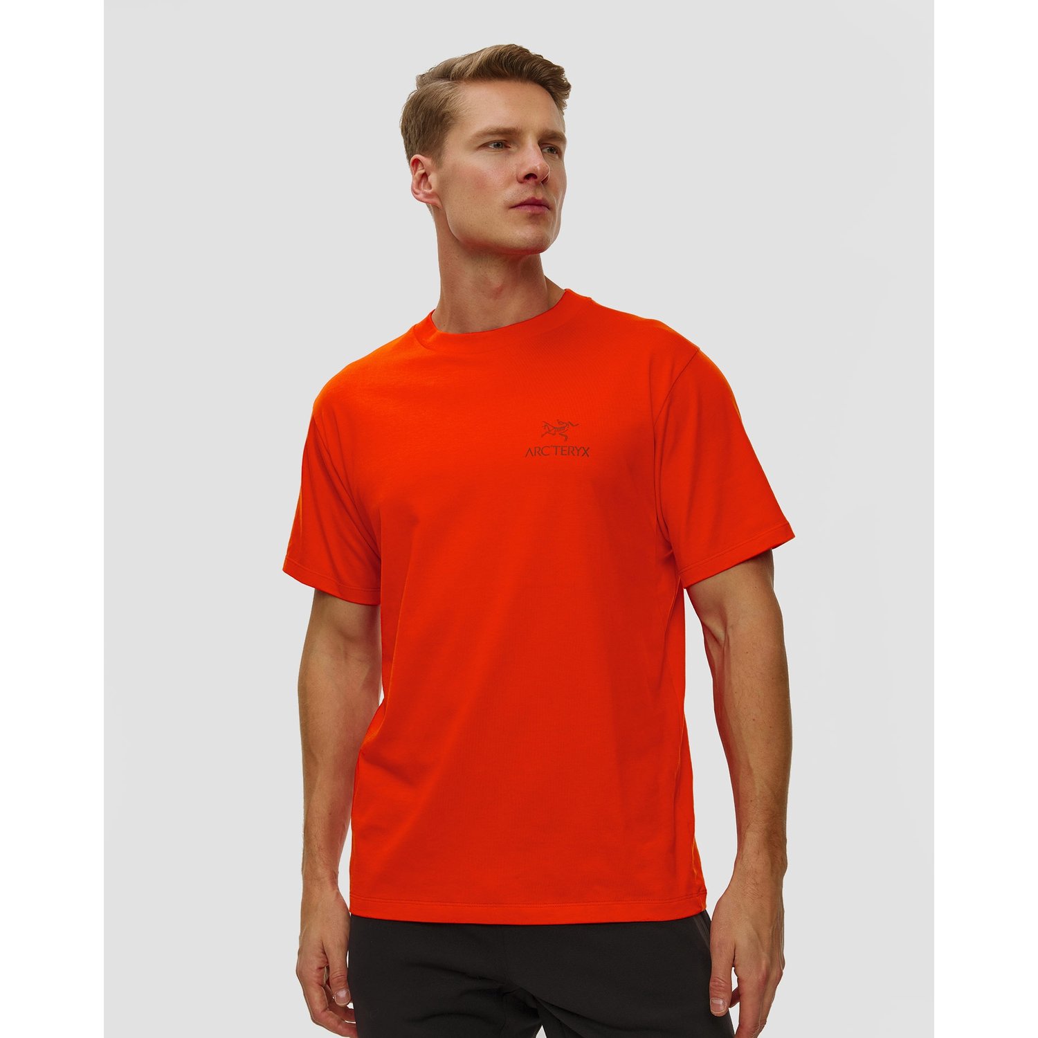 T-shirt Męski Arcteryx Kragg Sl Cotton Bird Word Ss