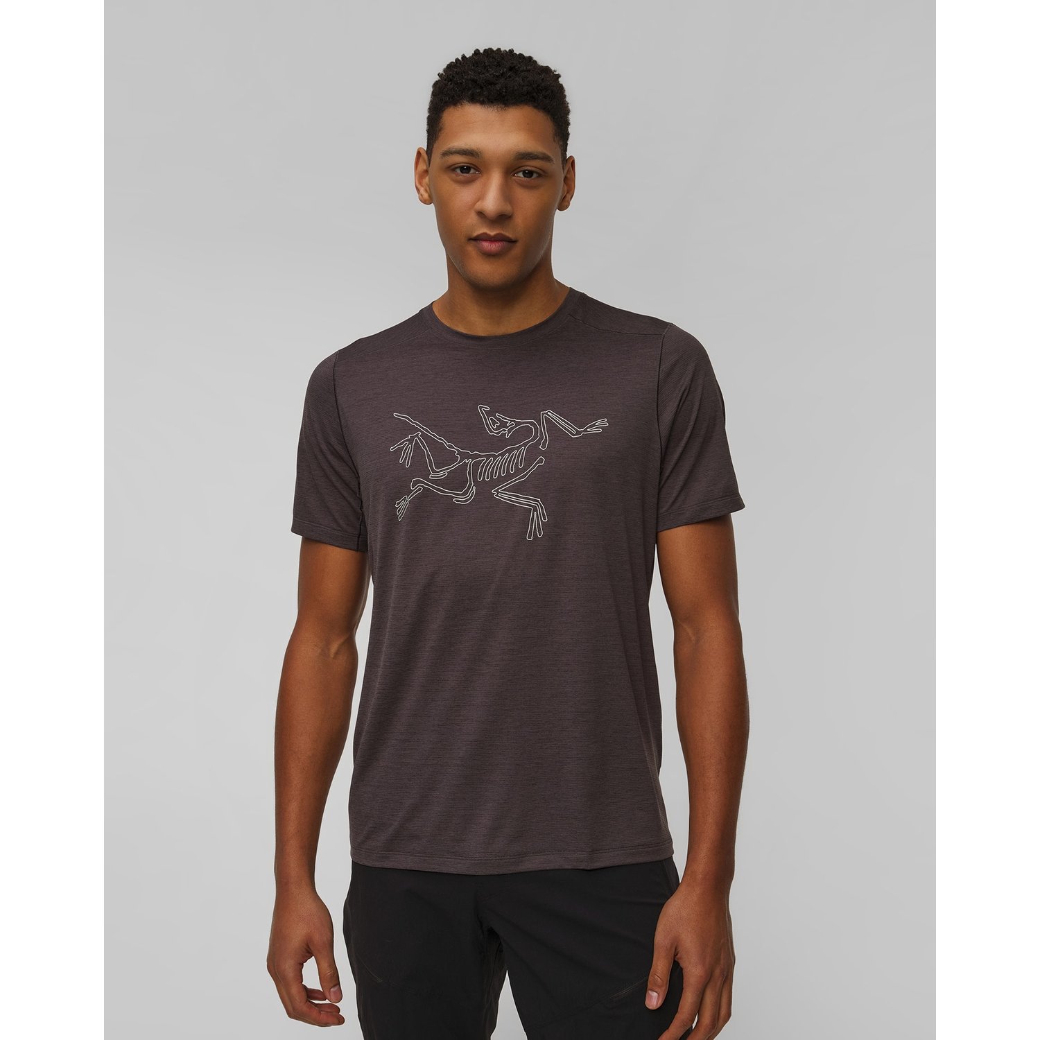 T-shirt Męski Arcteryx Cormac Logo Ss M Szary