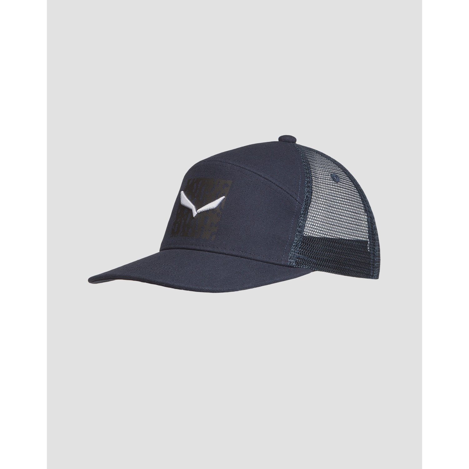Czapka Z Daszkiem Męska Salewa Pure Salamander Logo