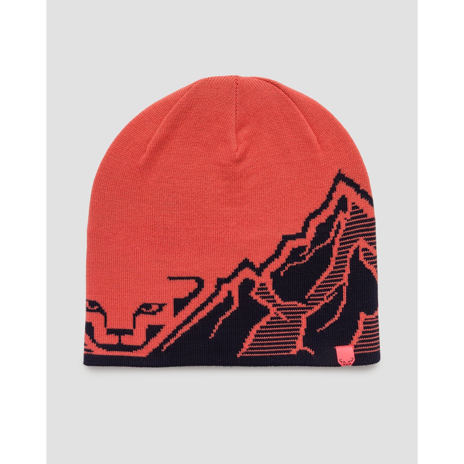 Czapka Dynafit Graphic Beanie