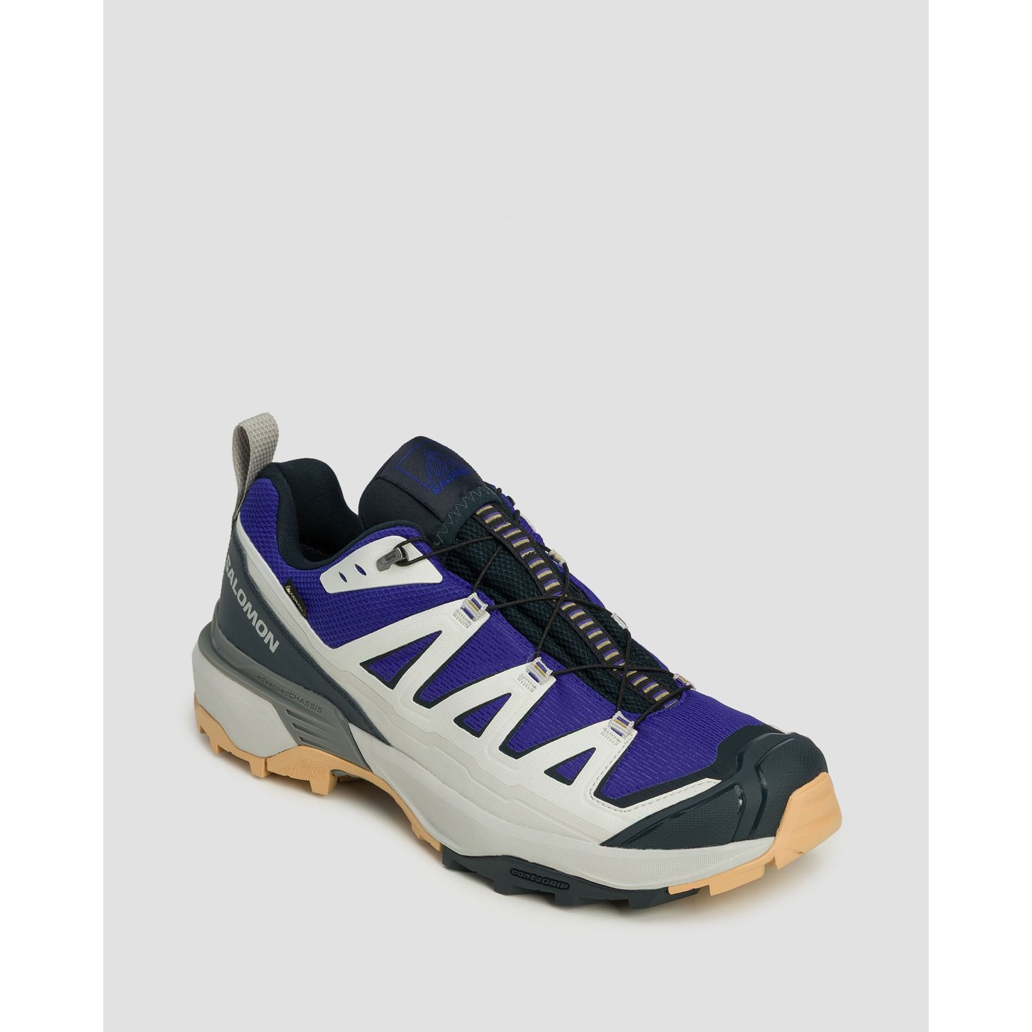 Niskie Buty Turystyczne Męskie Salomon X Ultra 360 Edge Gore-tex®