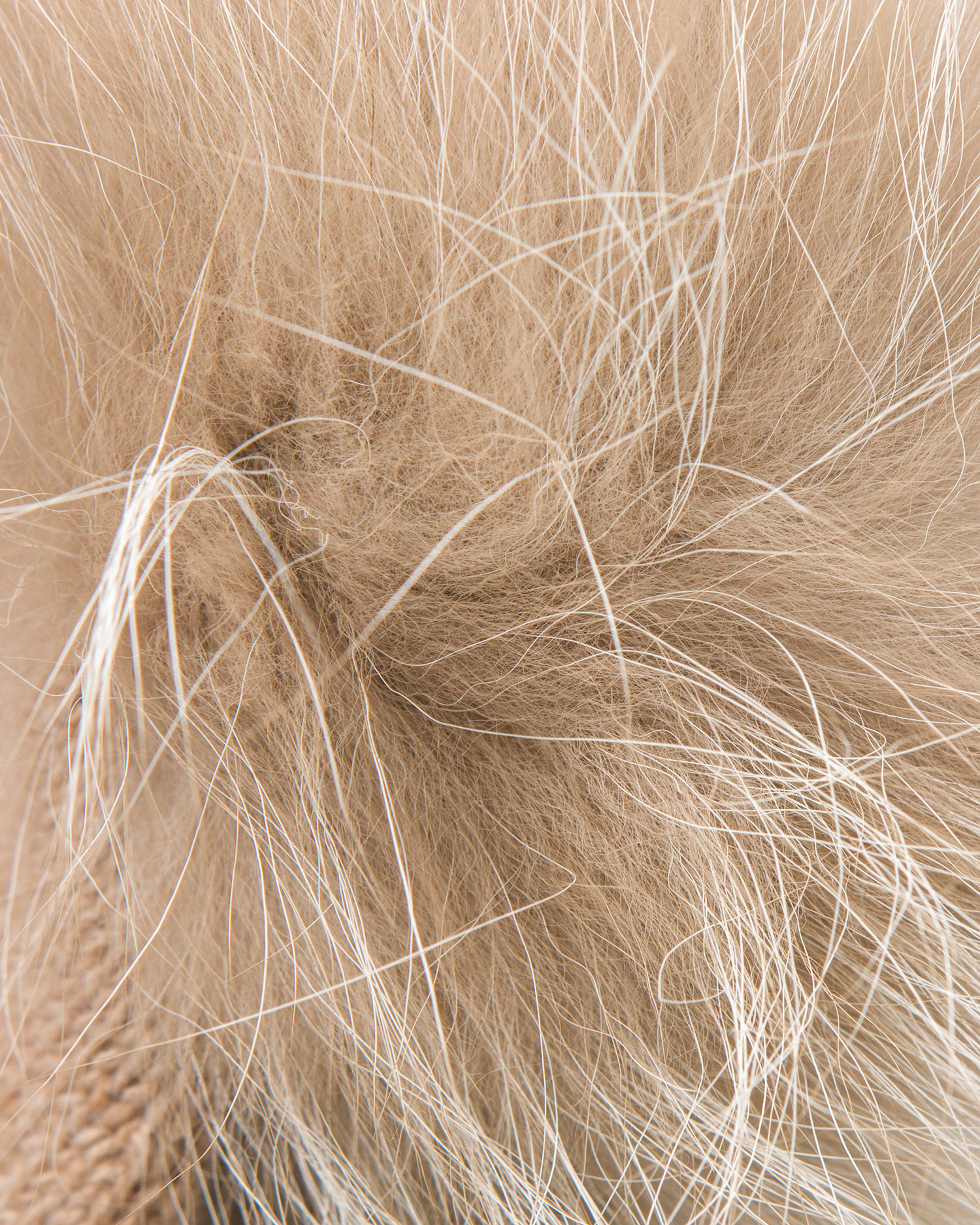 Kašmírová čiapka WILLIAM SHARP