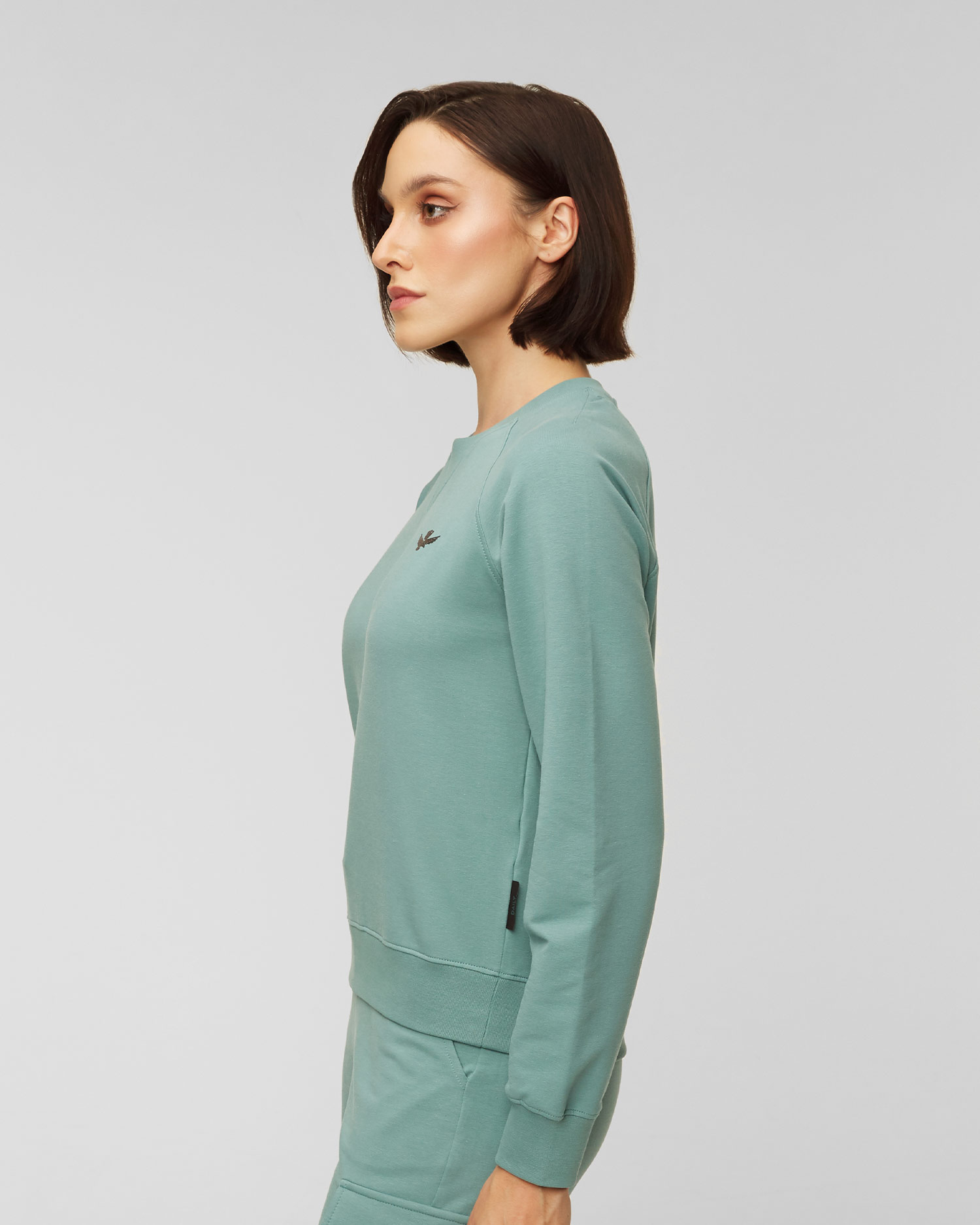 Sweat-shirt pour femmes Aeronautica Militare