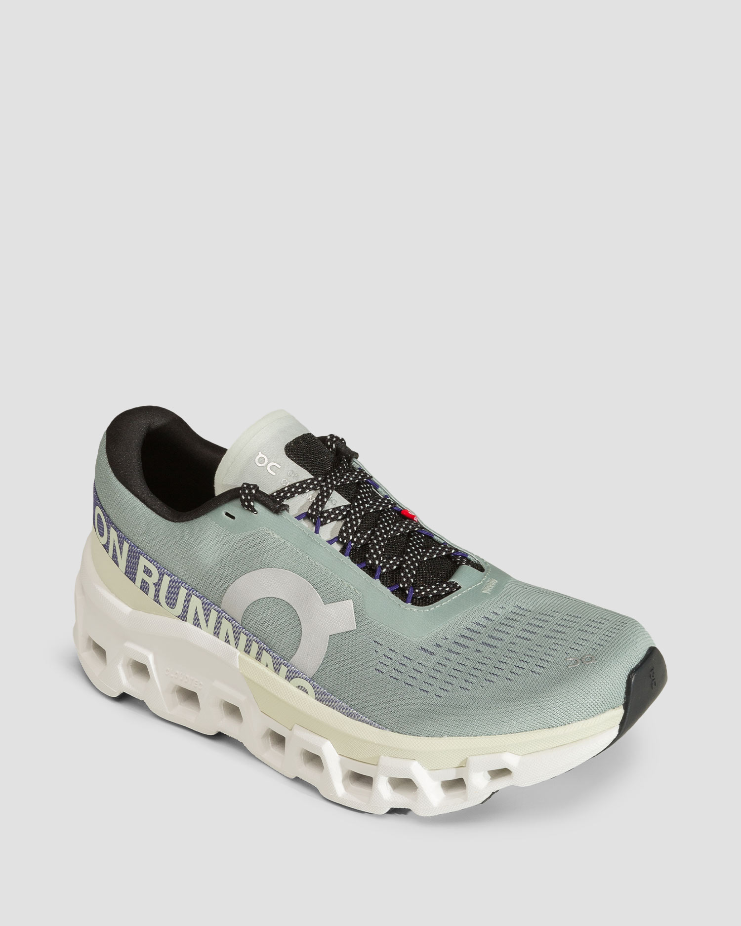 Women's trainers On Cloudmonster 2