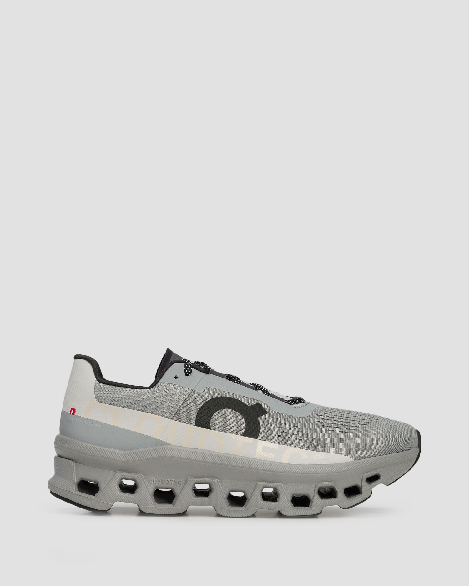 Men's trainers On Cloudmonster