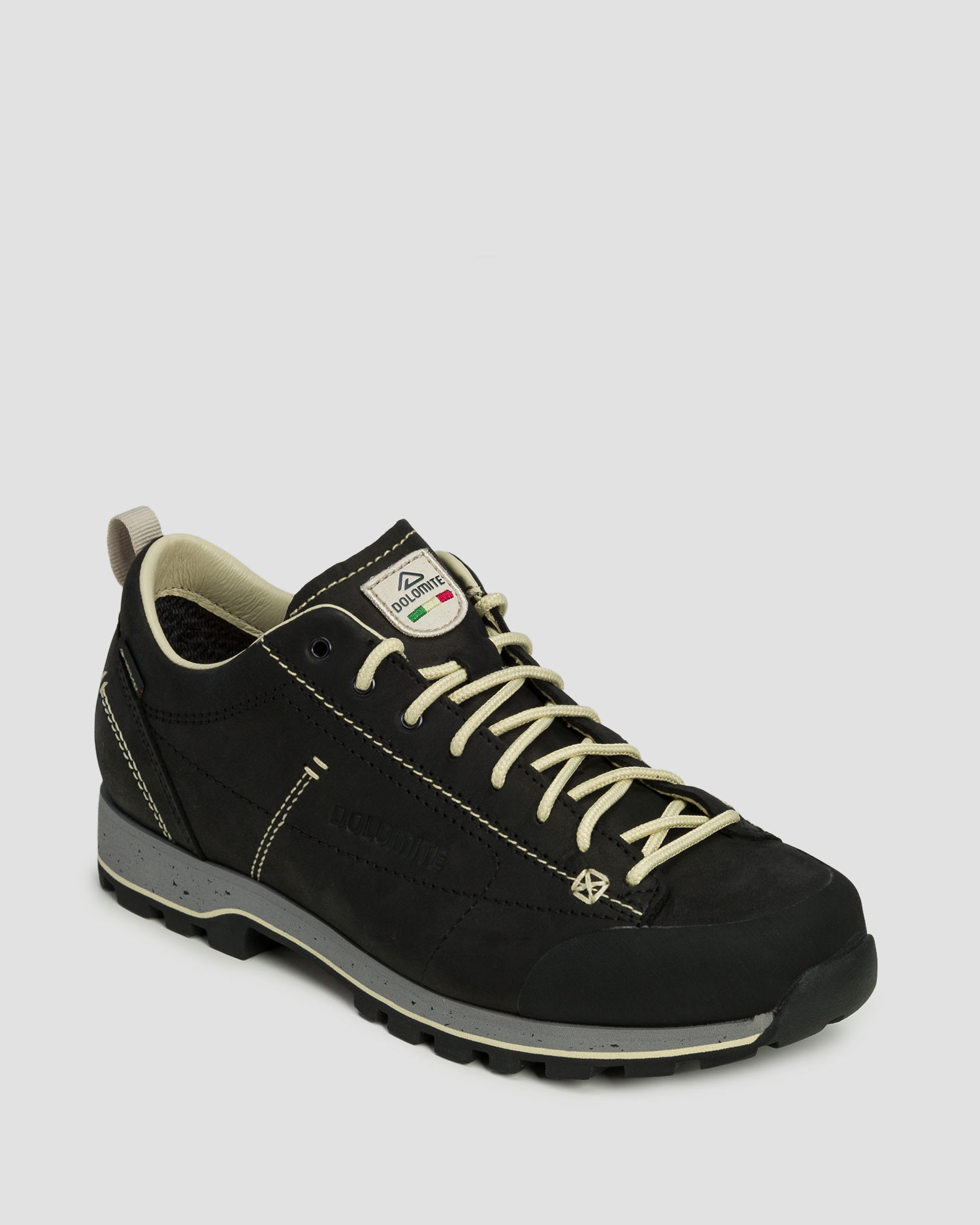 Leather trekking boots Dolomite 54 Low FG EVO GTX