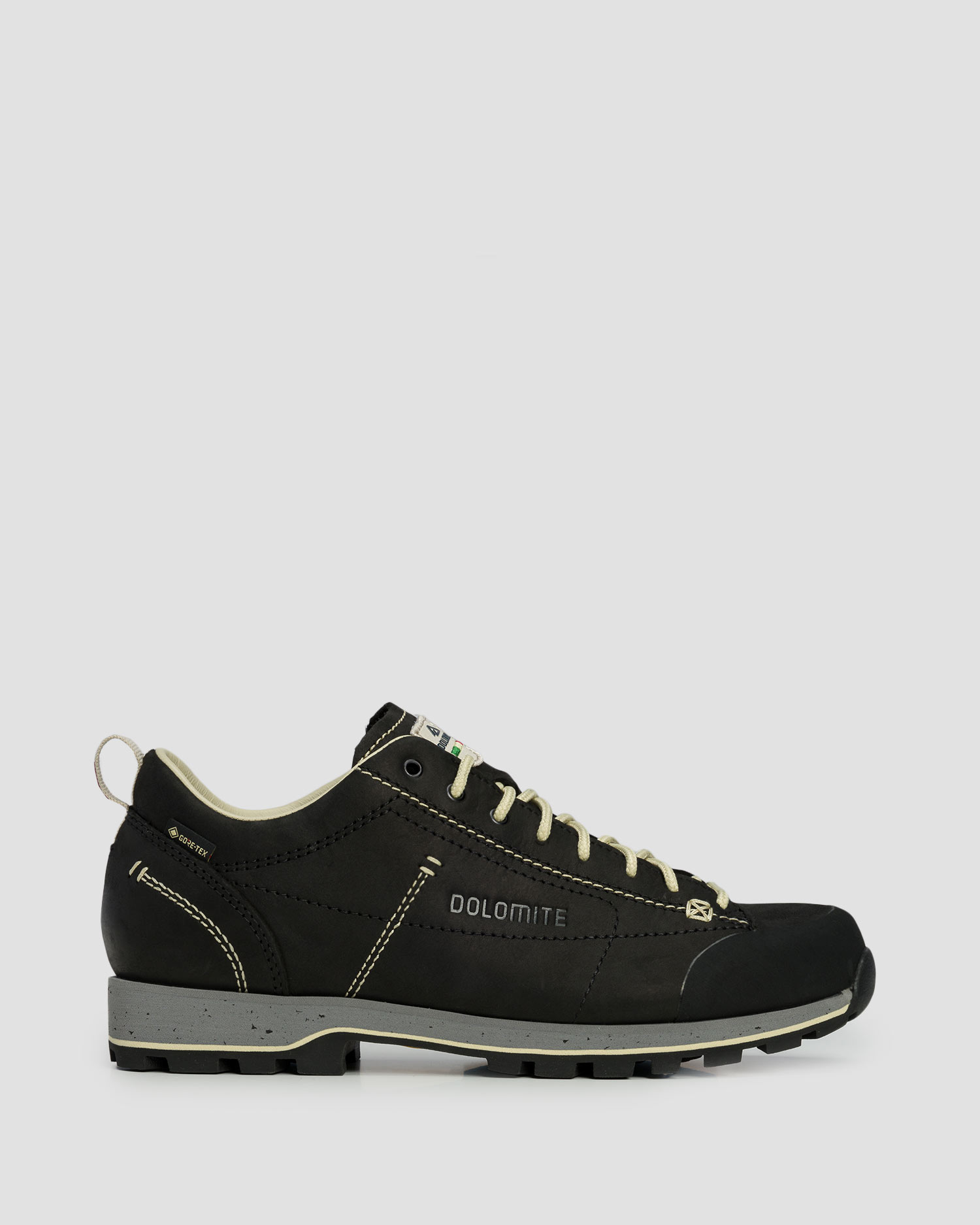 Scarpe basse in pelle da trekking Dolomite 54 Low FG EVO GTX grigie