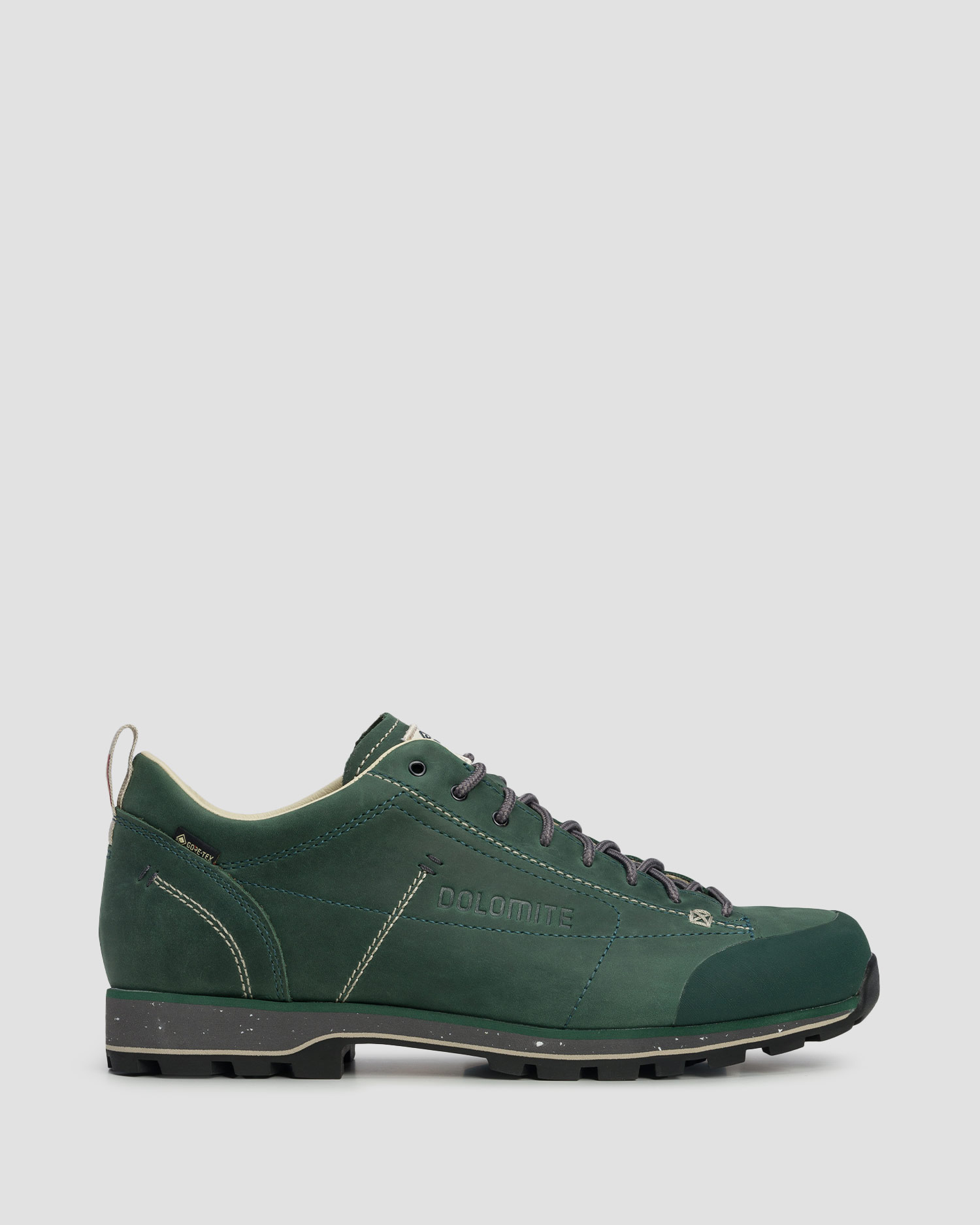 Dolomite 54 Low FG EVO GTX niedrige Wanderschuhe aus Leder in Dunkelgrün