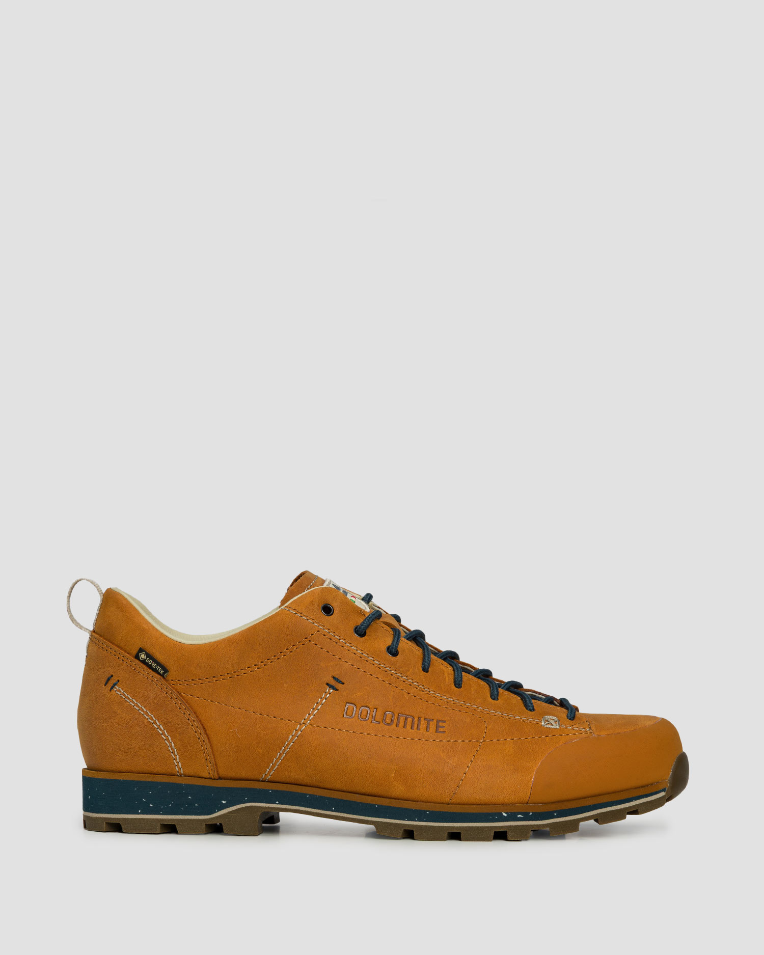 Niskie skórzane buty trekkingowe Dolomite 54 Low FG EVO GTX brązowe