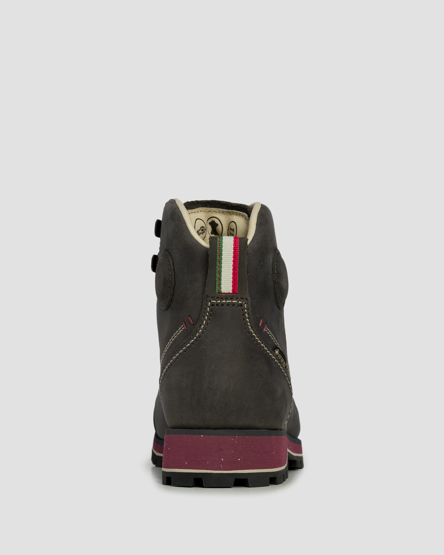 DOLOMITE W'S 54 HIGH FG EVO GTX shoes