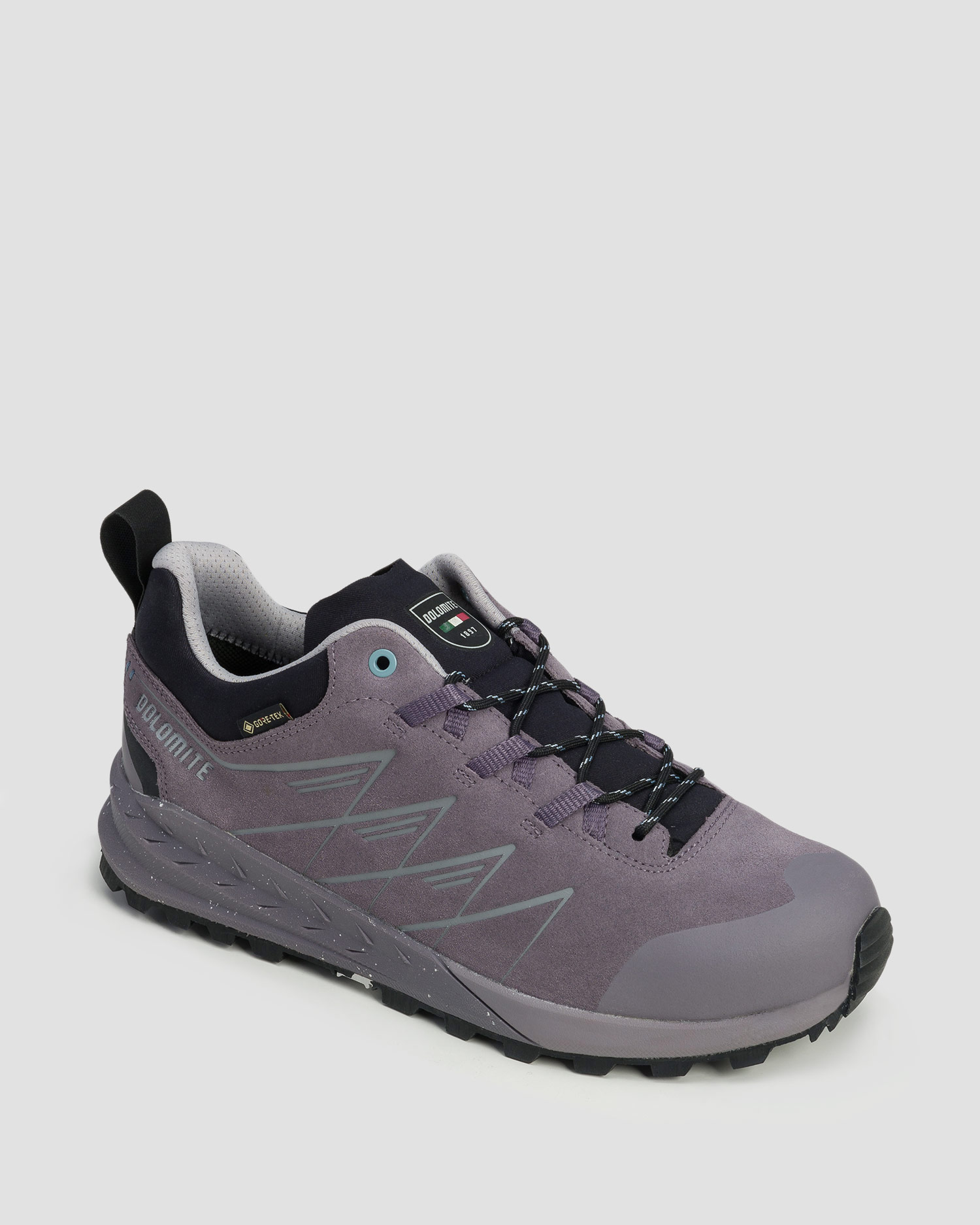 Dámske nízke trekingové topánky Dolomite Crodanera GTX fialové
