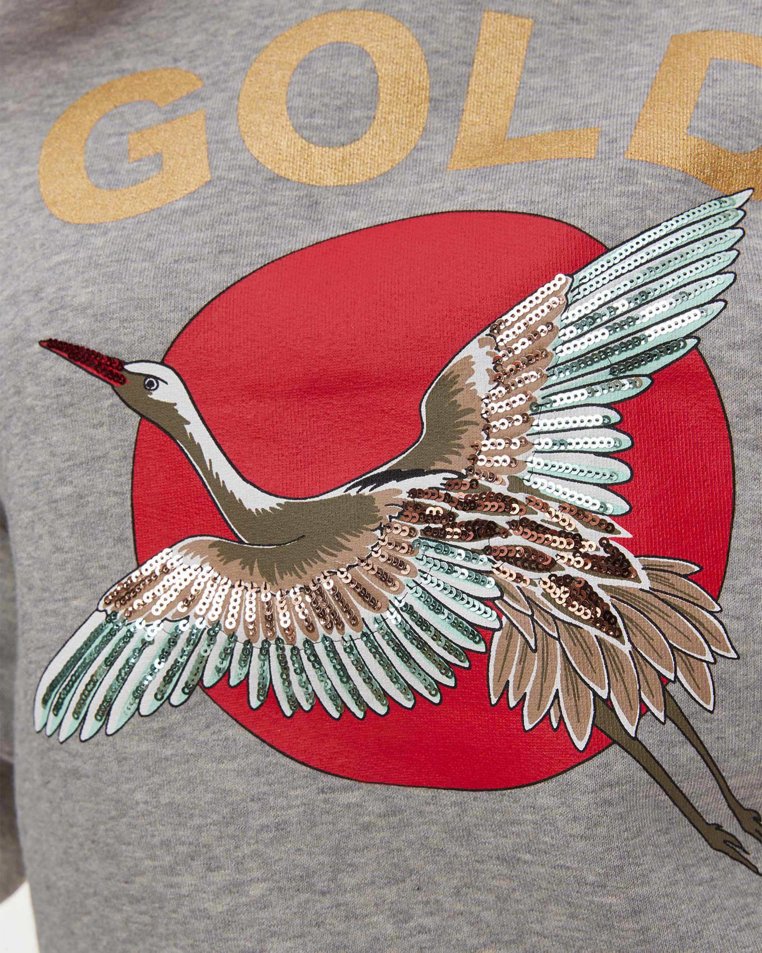 Sweat-shirt à capuche pour femmes Goldbergh TOBU