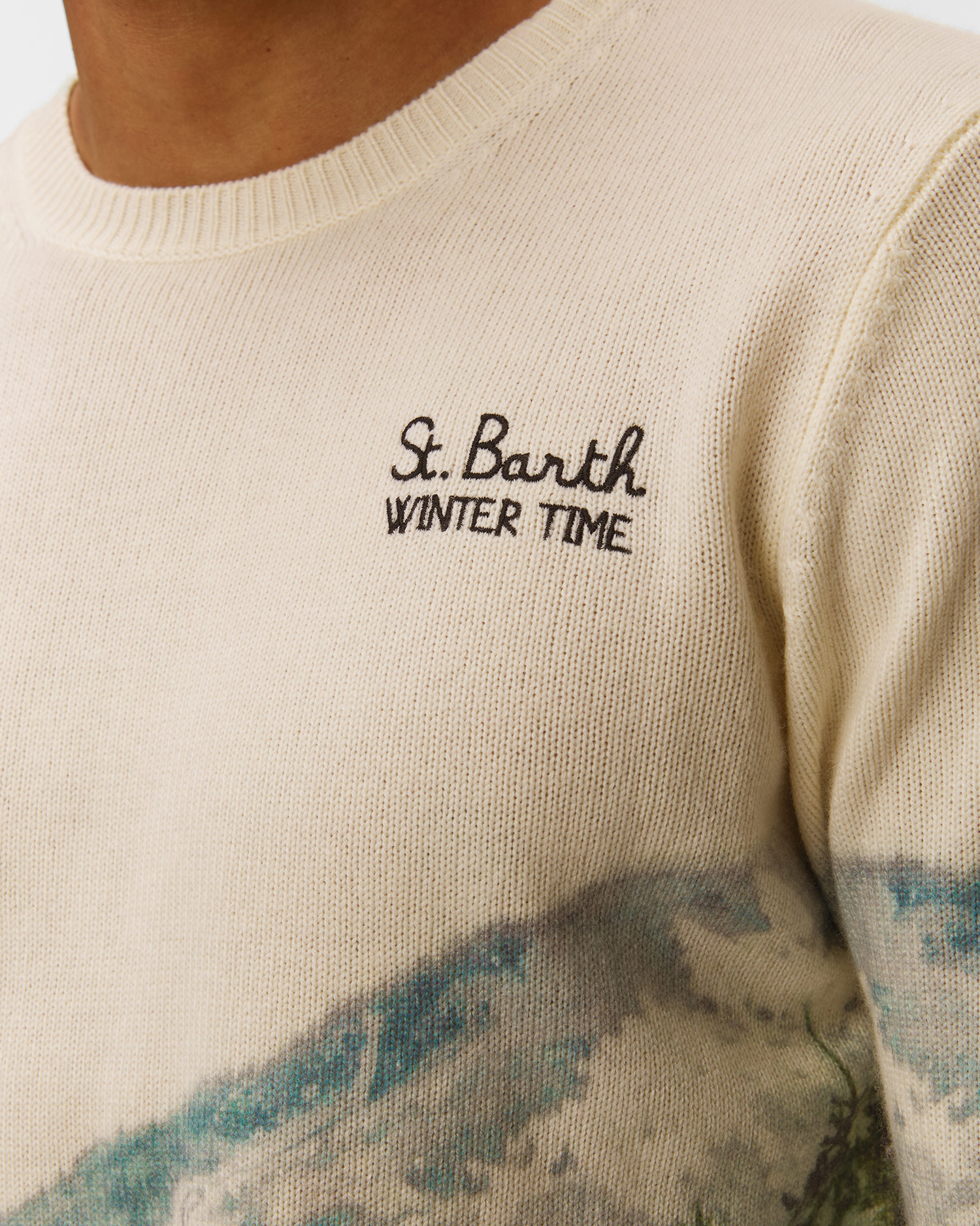Sweter męski MC2 Saint Barth Heron Print