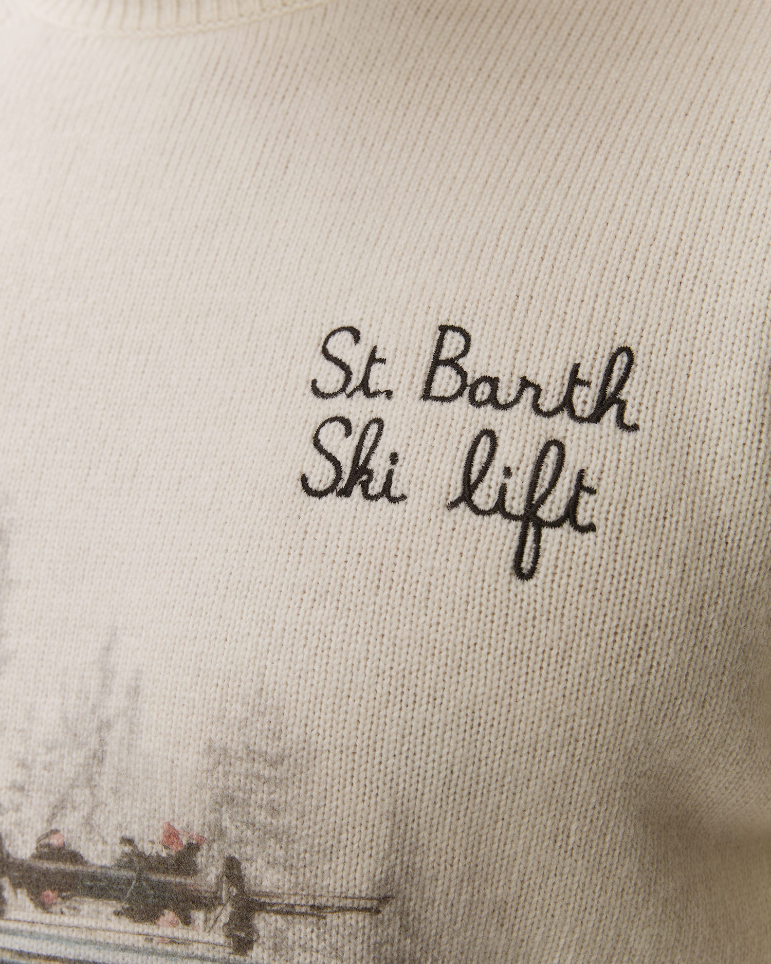 Pánský svetr s grafickým motivem MC2 Saint Barth Heron Print