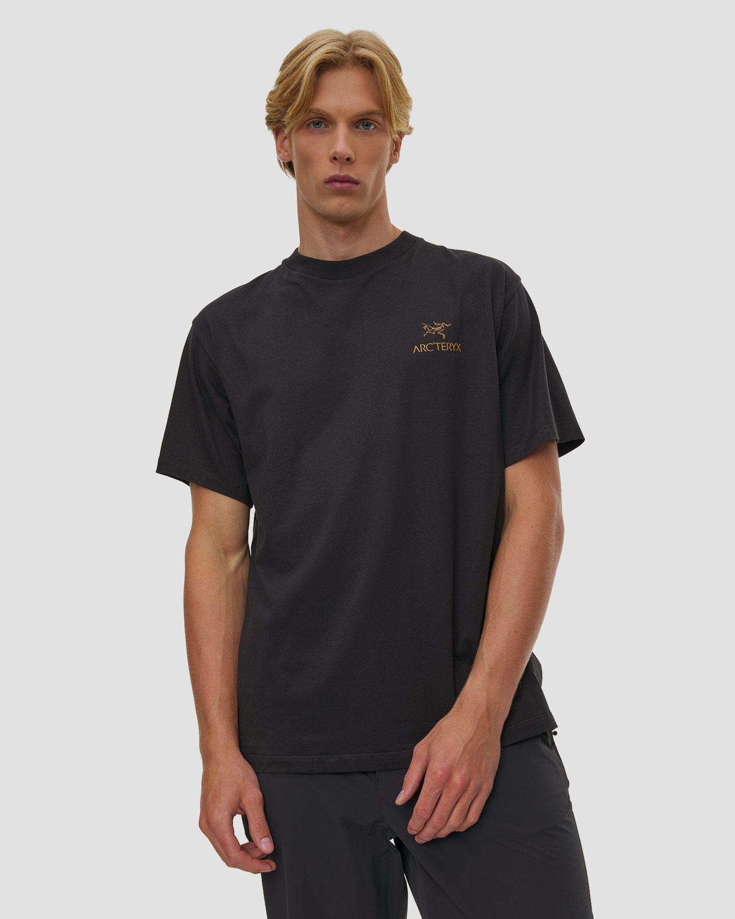 Pánske tričko Arcteryx Kragg SL Cotton Bird Word SS M čierne