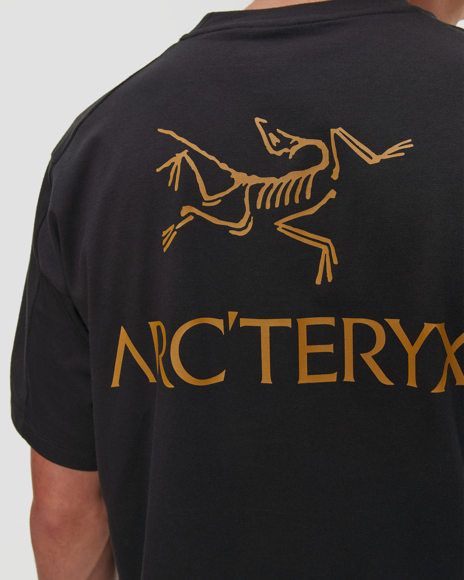 Pánske tričko Arcteryx Kragg SL Cotton Bird Word SS M čierne
