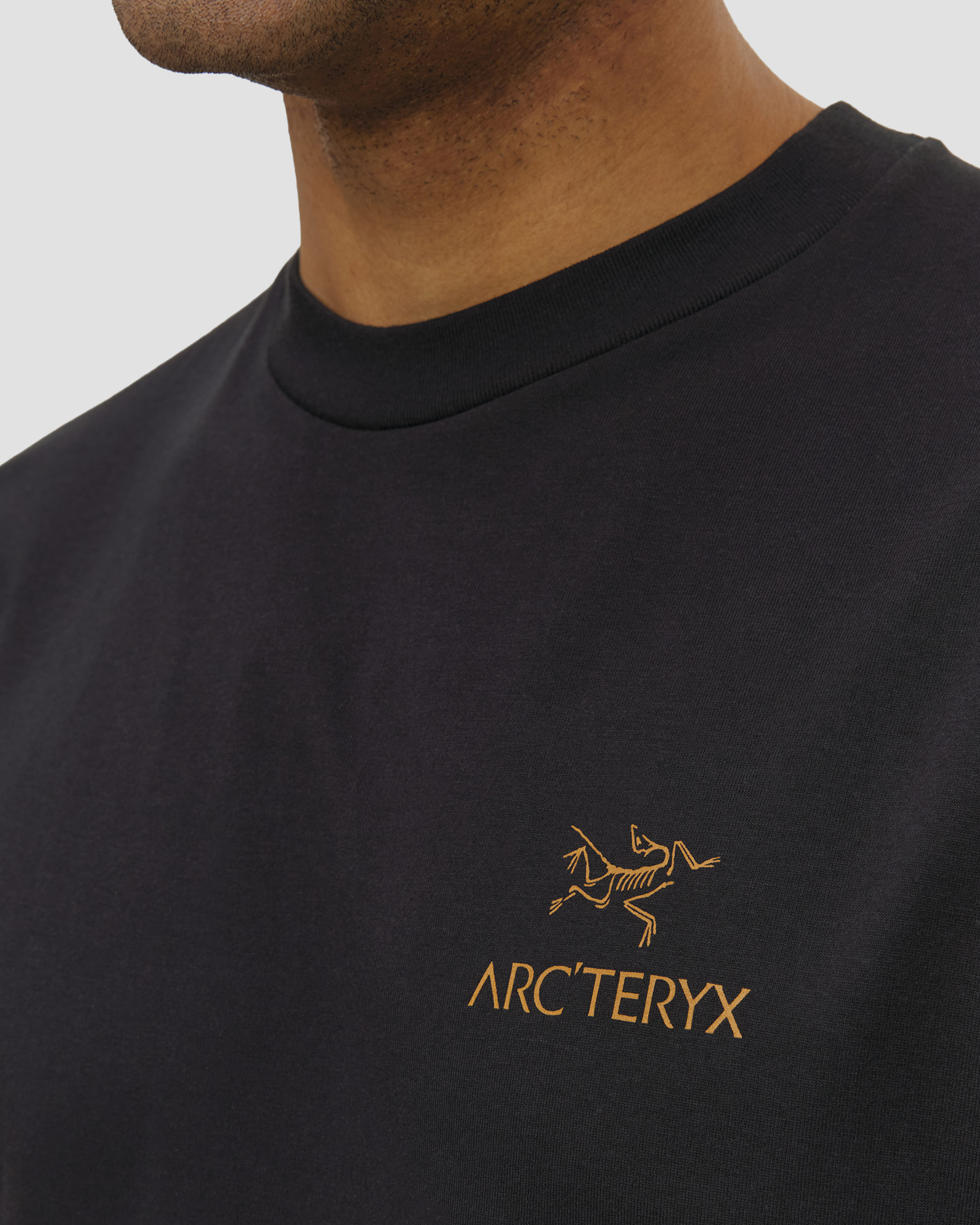 Tricou pentru bărbați Arcteryx Kragg SL Cotton Bird Word SS M negru