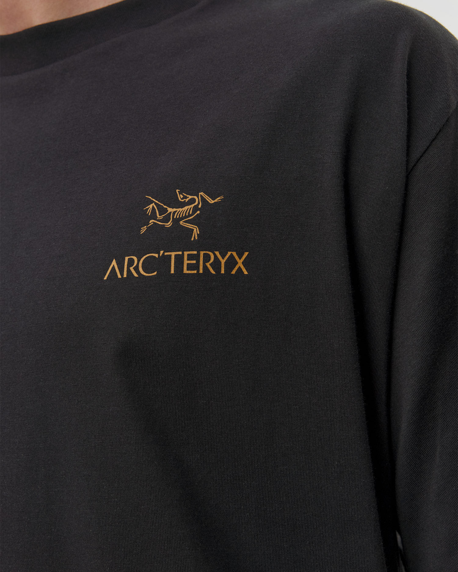 Pánske tričko Arcteryx Kragg SL Cotton Bird Word SS M čierne