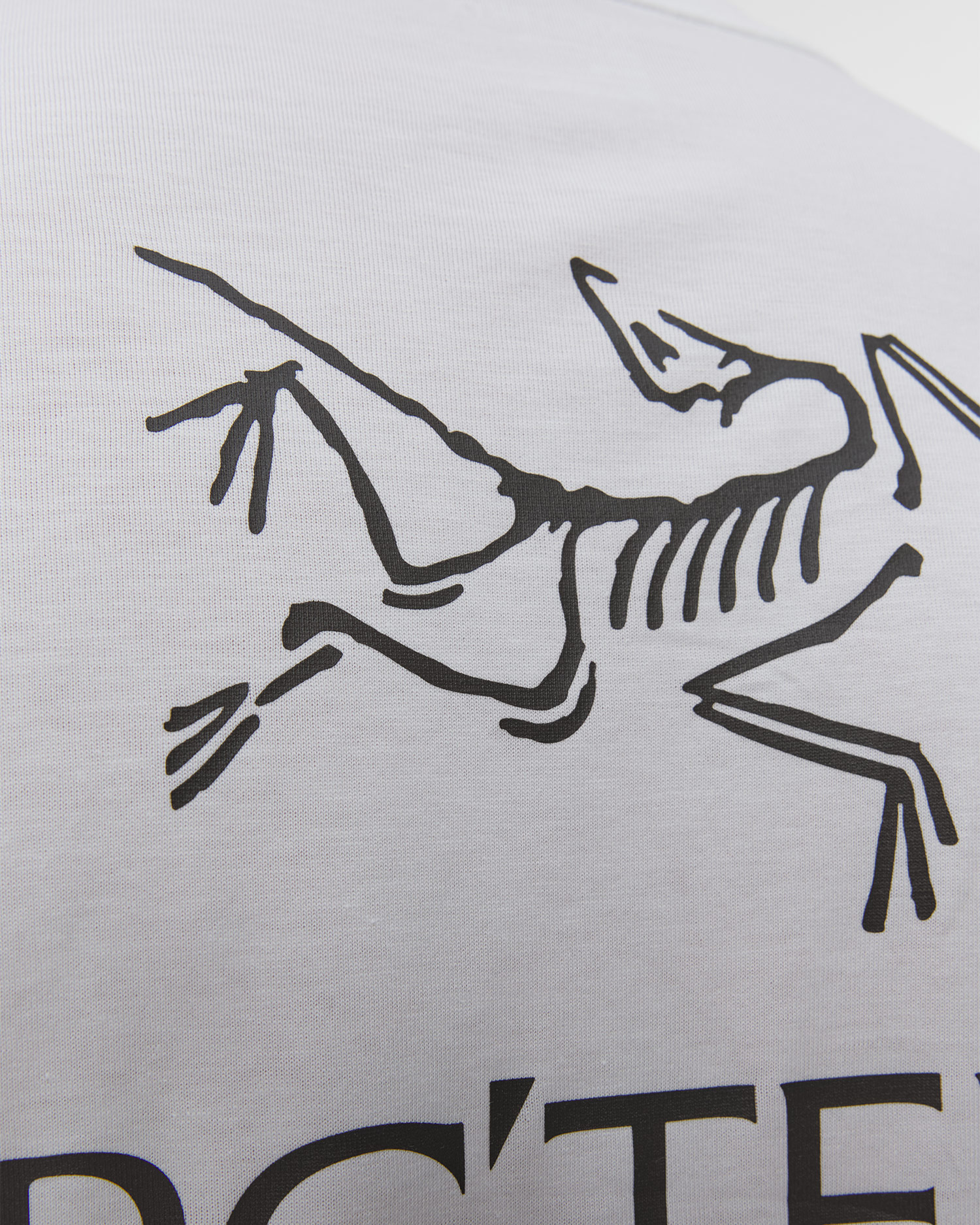 Tricou pentru bărbați Arcteryx Kragg SL Cotton Bird Word SS M alb