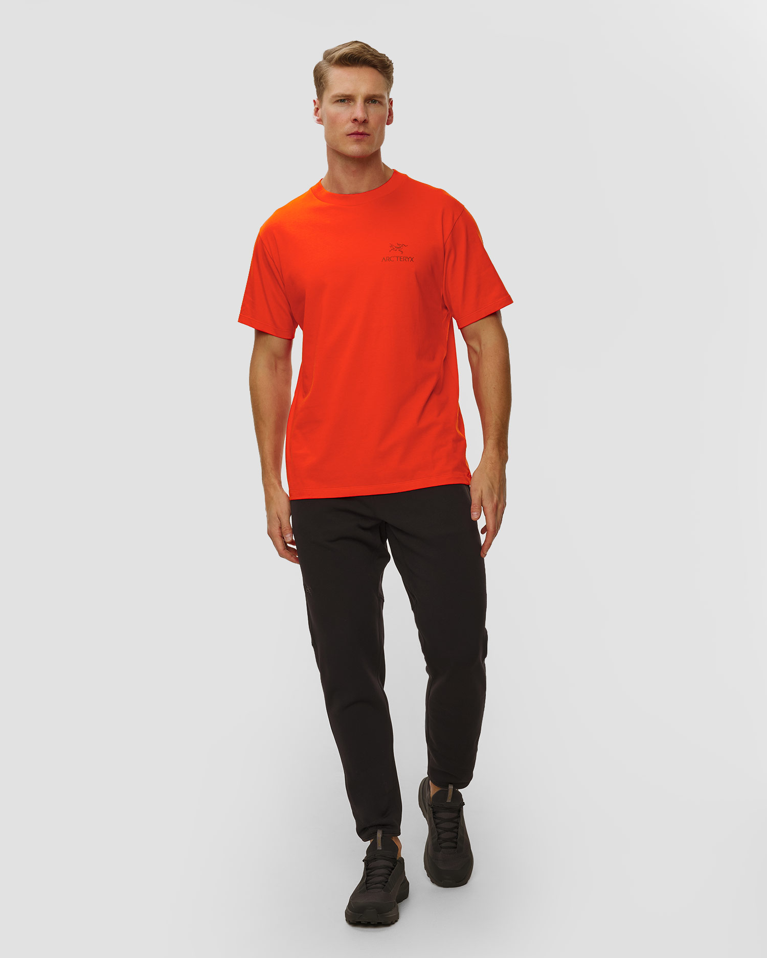 Pánské tričko Arcteryx Kragg SL Cotton Bird Word SS