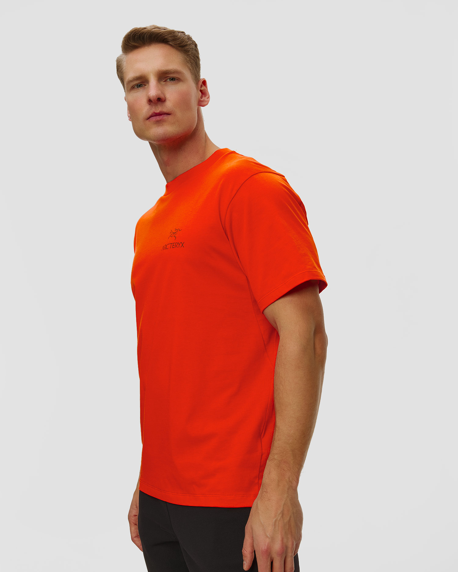 Pánské tričko Arcteryx Kragg SL Cotton Bird Word SS
