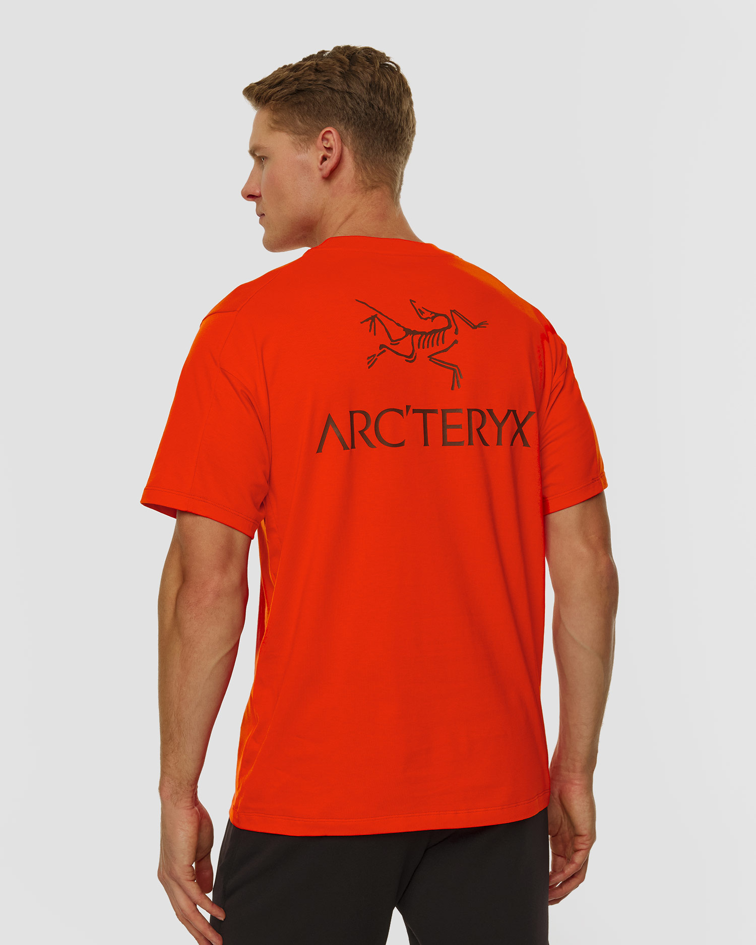 Pánské tričko Arcteryx Kragg SL Cotton Bird Word SS