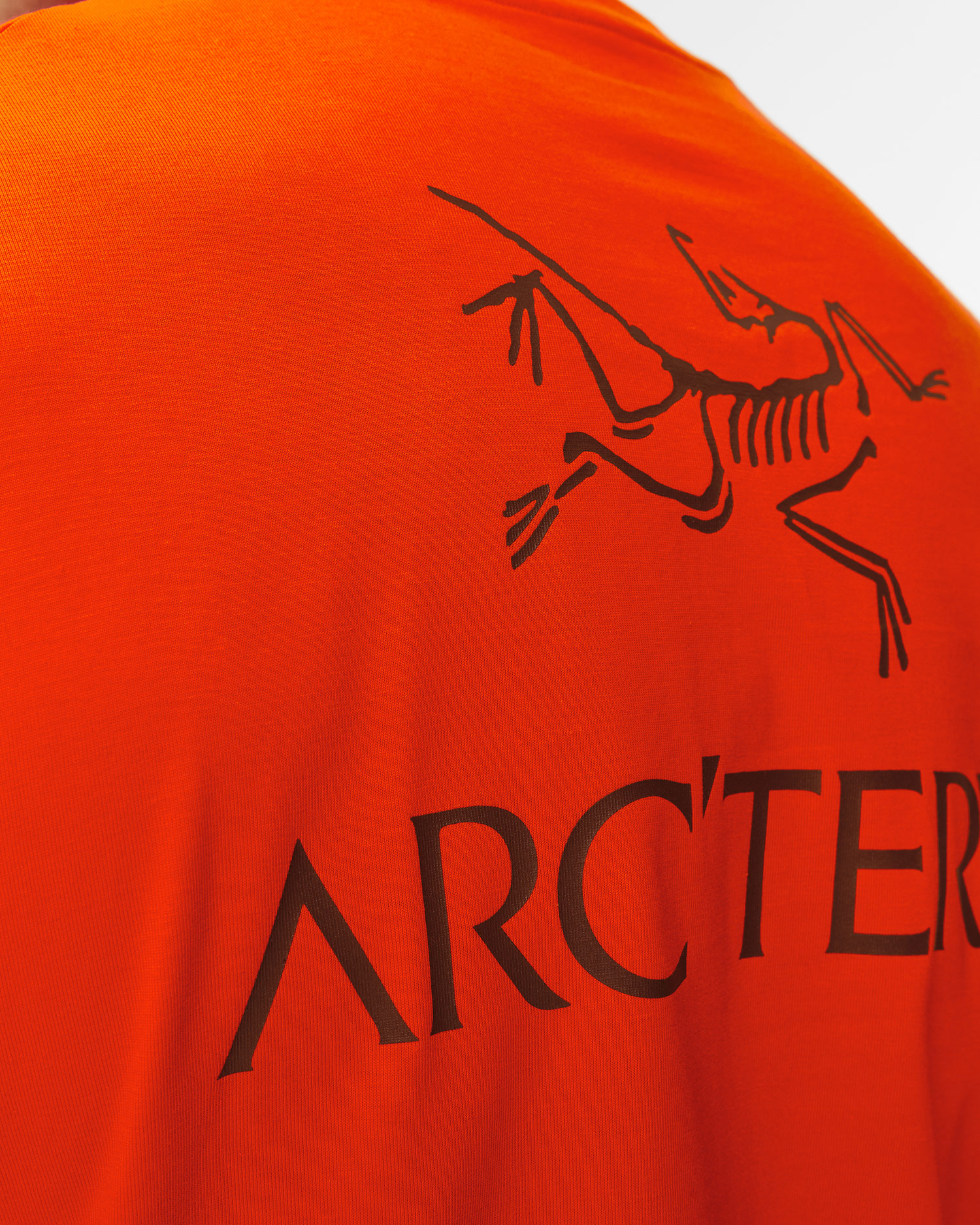 Pánské tričko Arcteryx Kragg SL Cotton Bird Word SS