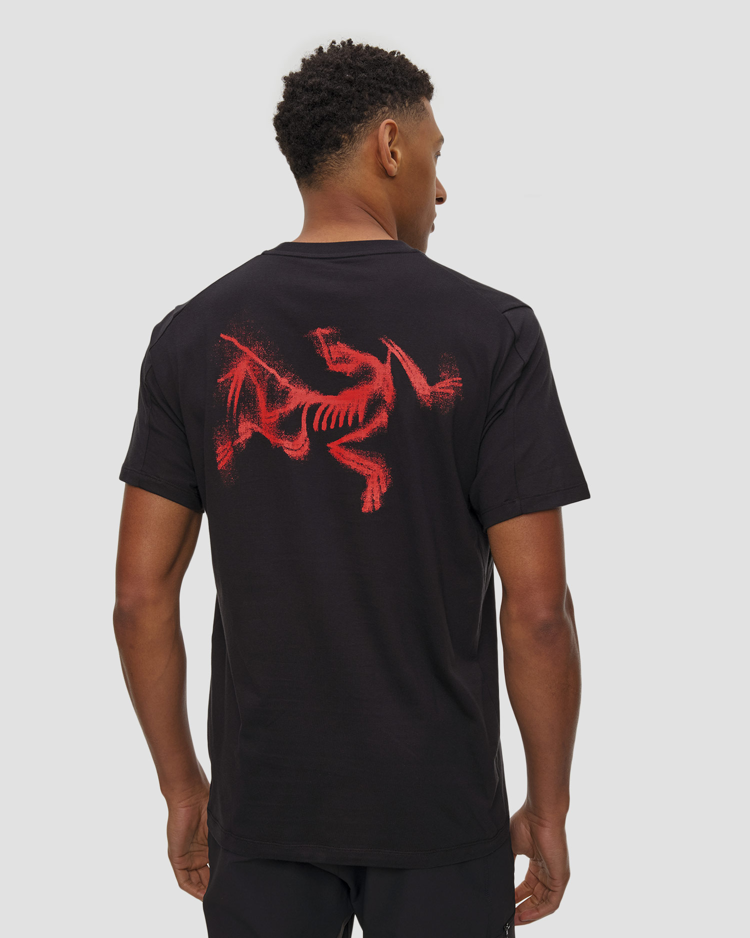 T-shirt męski Arcteryx Kragg SL Cotton Blurred Bird SS M czarny