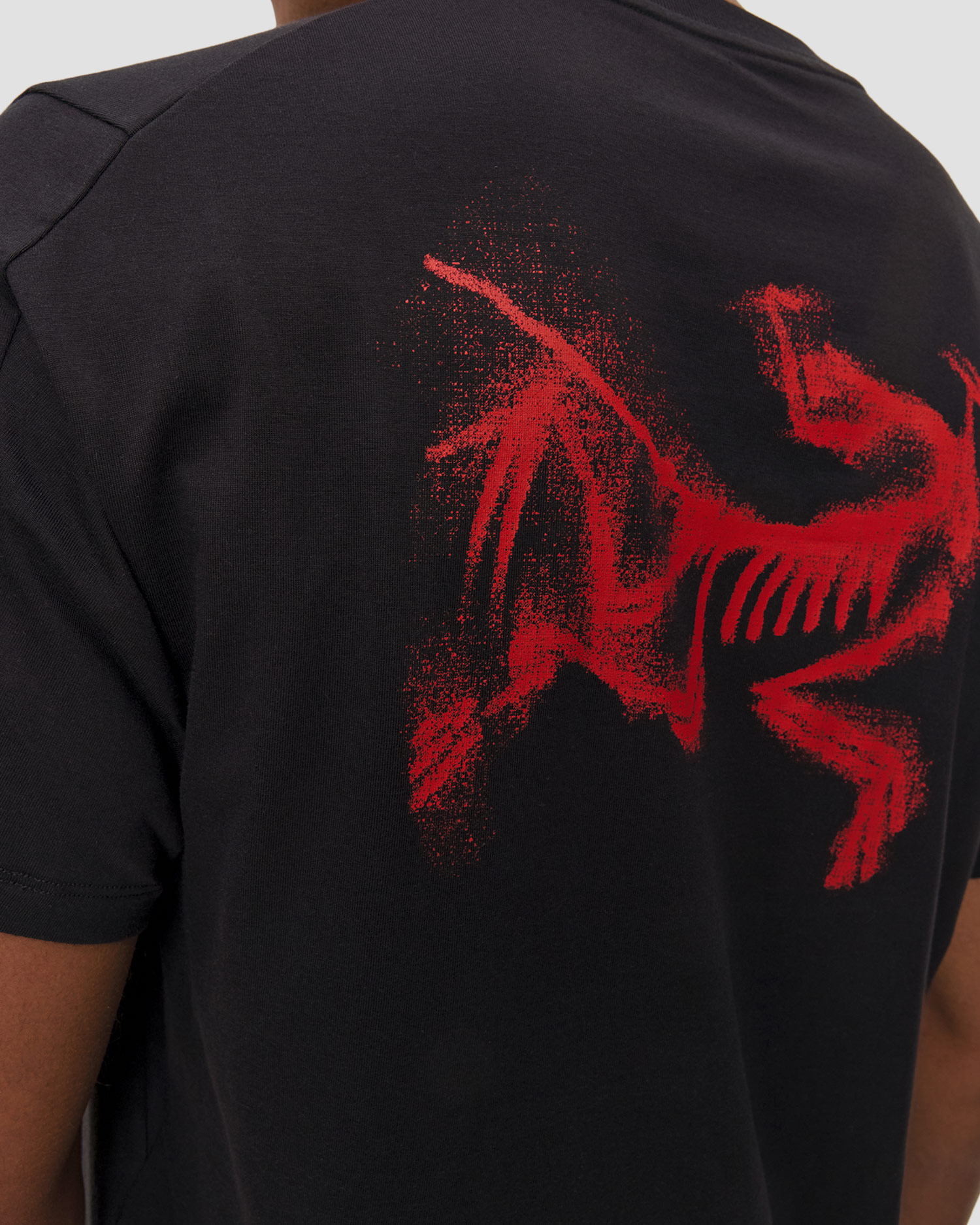 T-shirt męski Arcteryx Kragg SL Cotton Blurred Bird SS M czarny