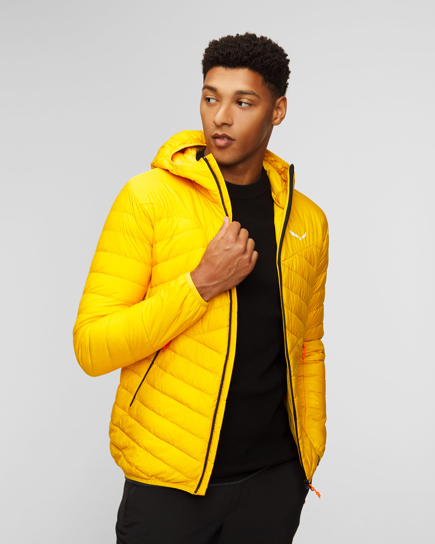 Veste duvet pour hommes Salewa Brenta