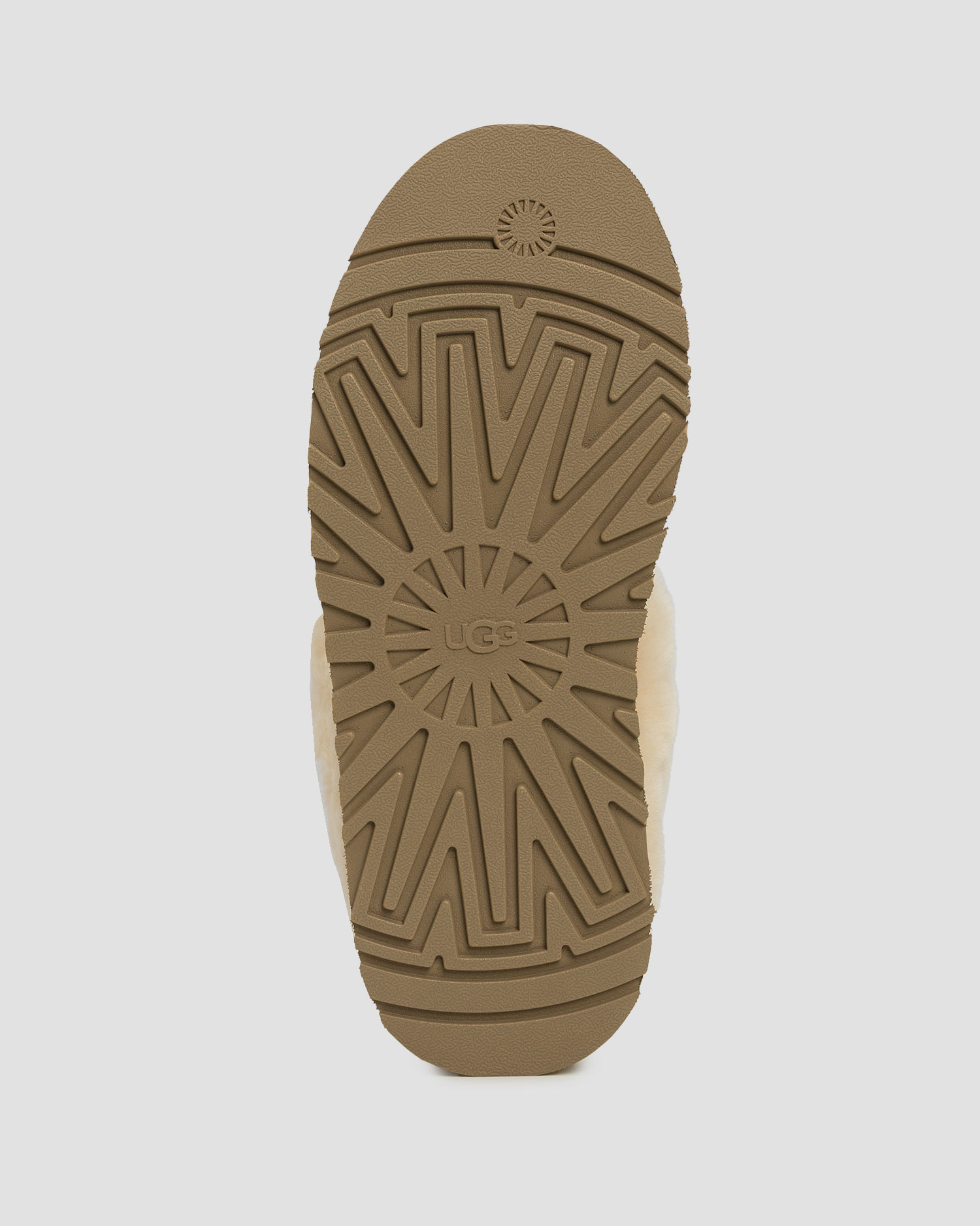 Chaussures pour femmes UGG Tazzelle