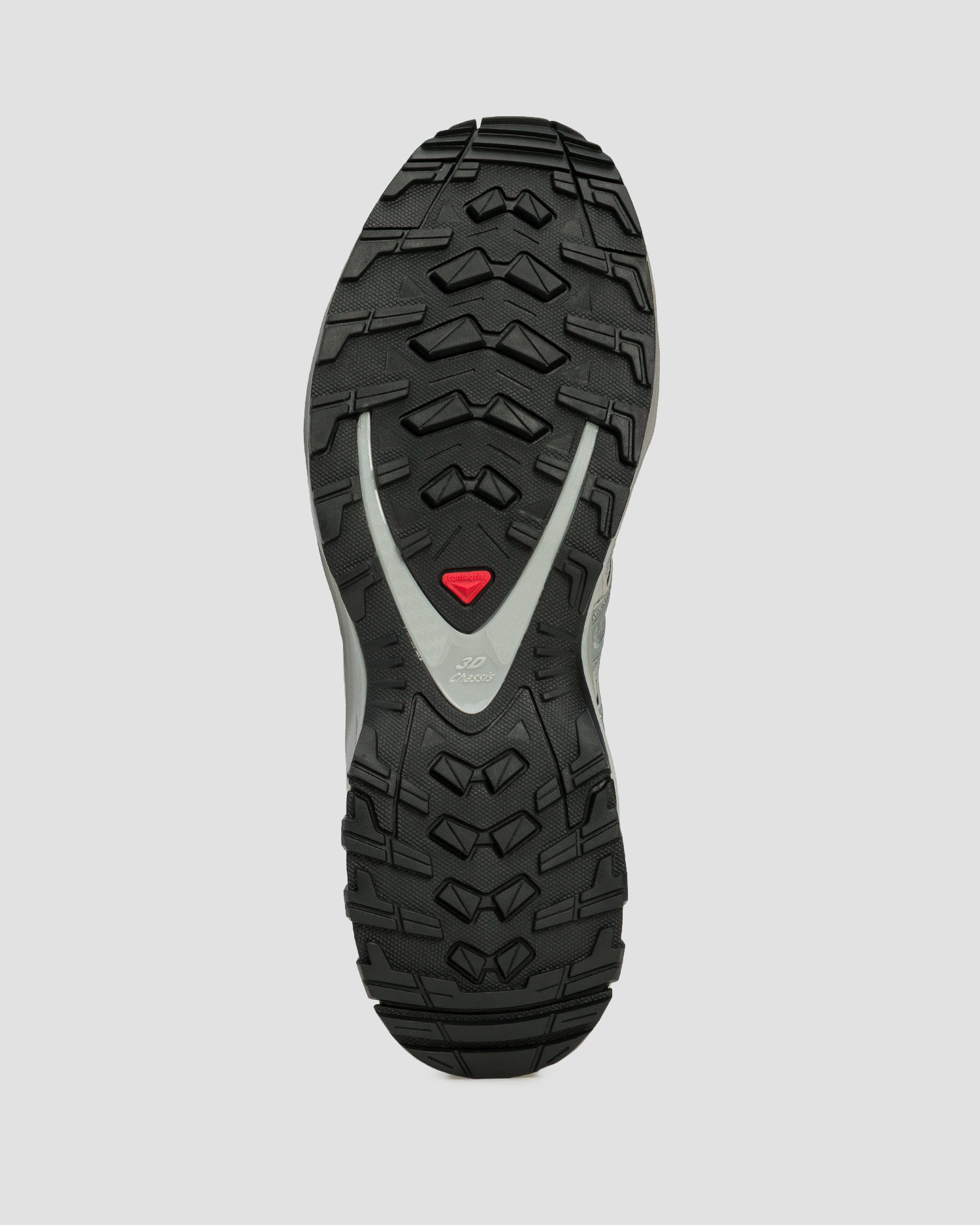 Unisex trail shoes Salomon XA PRO 3D silver