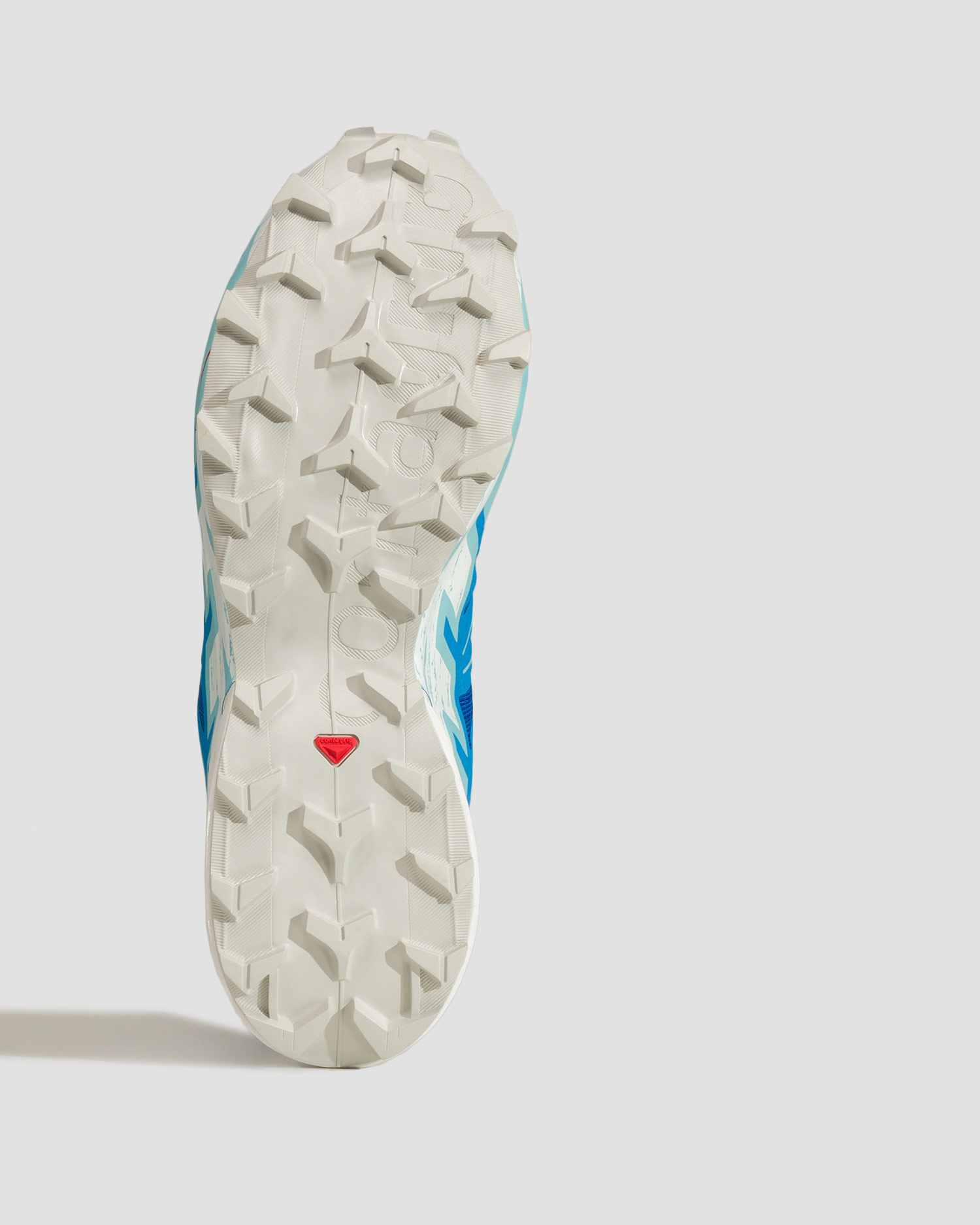 Scarpe da trail da uomo Salomon Speedcross 6