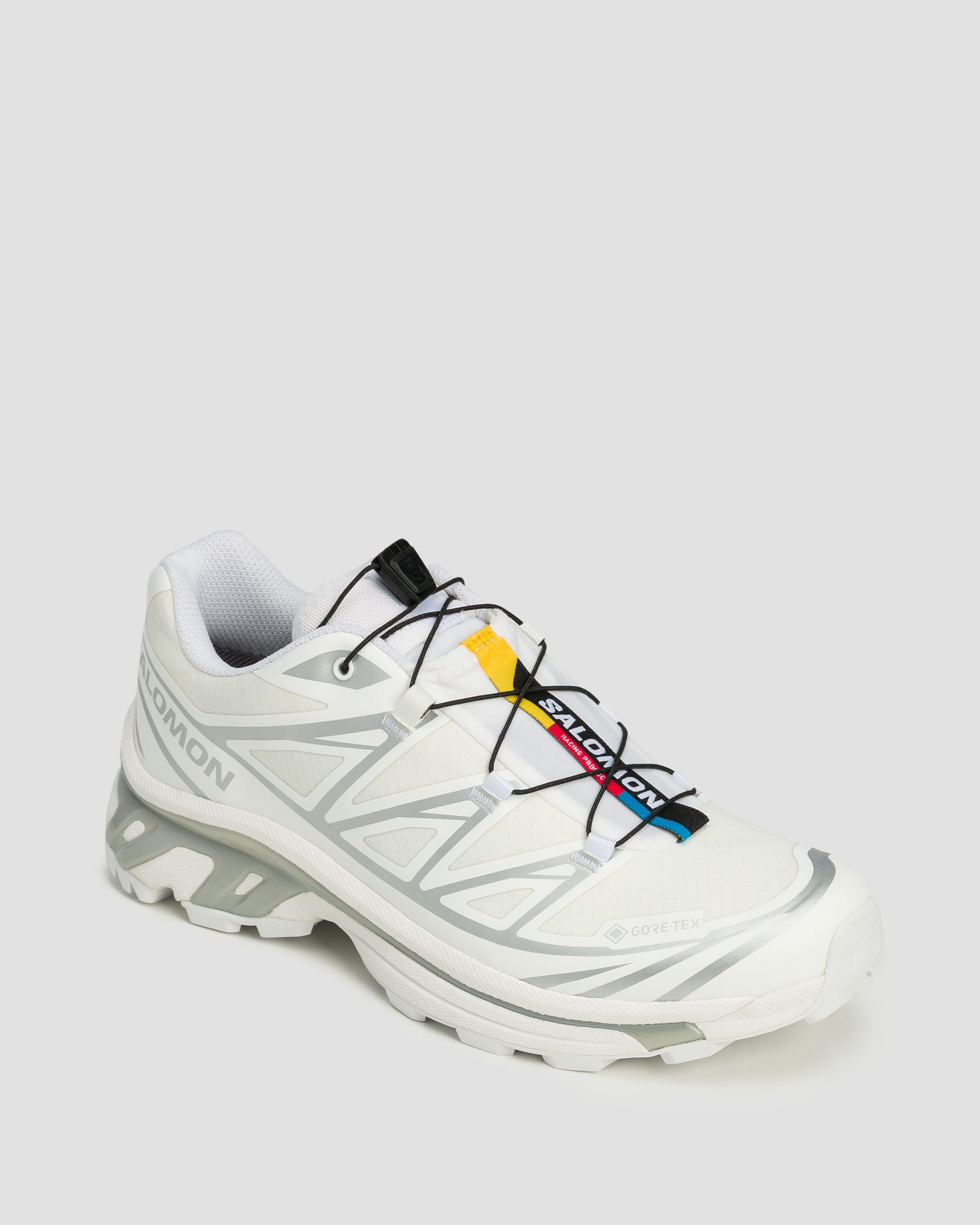 Scarpe da trail unisex Salomon XT-6 GTX bianco-argento