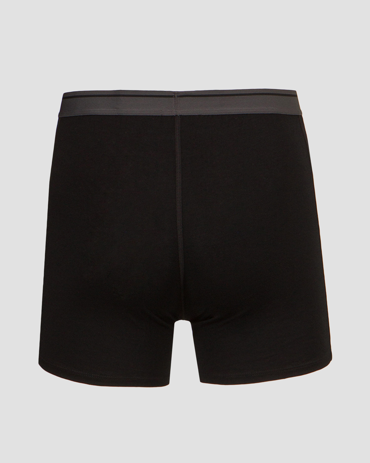 Boxer ICEBREAKER ANATOMICA 