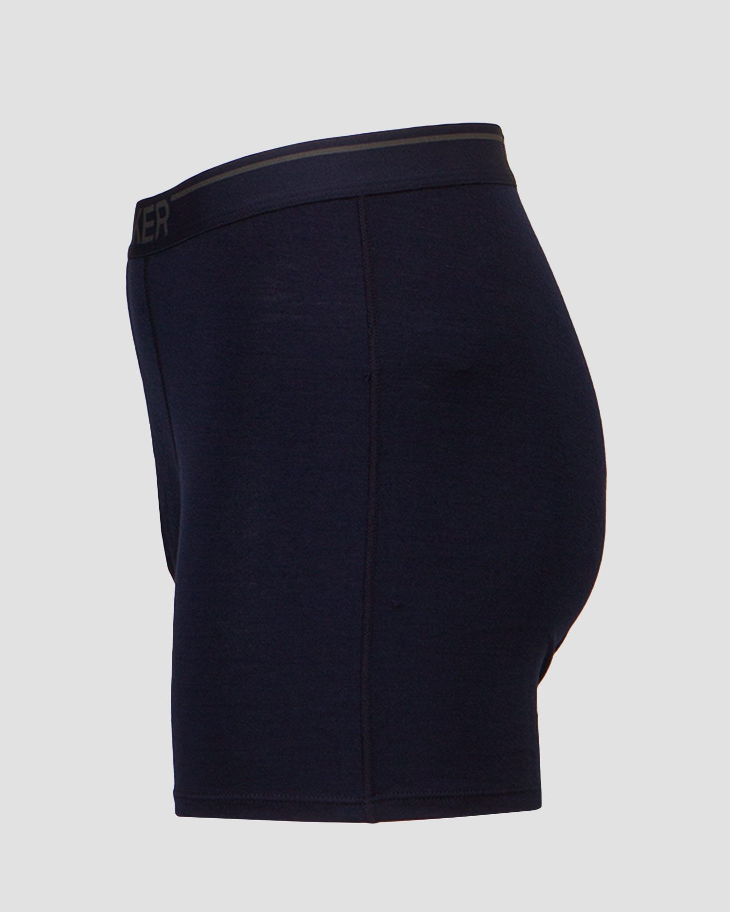 ICEBREAKER ANATOMICA Boxershorts