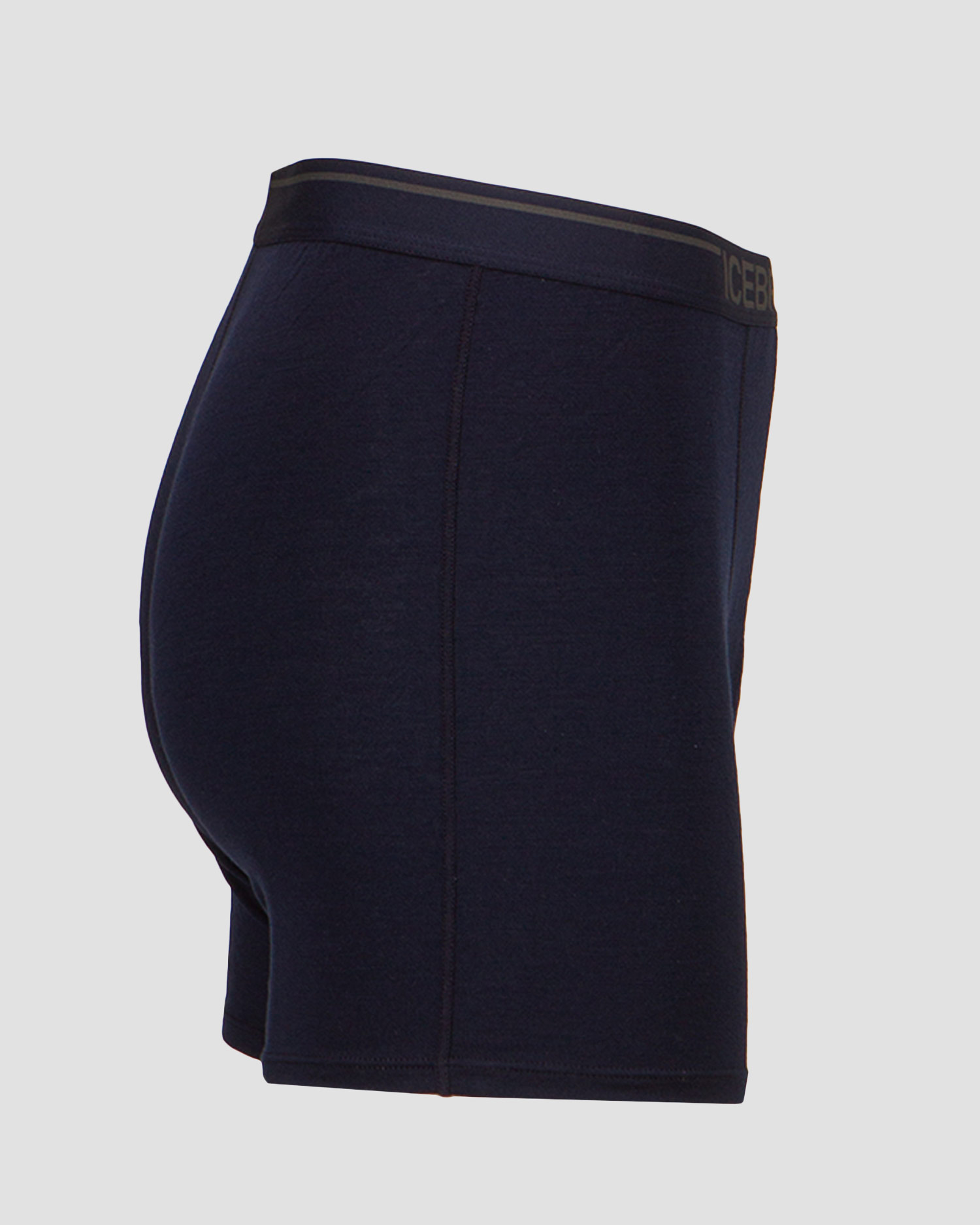 ICEBREAKER ANATOMICA Boxershorts