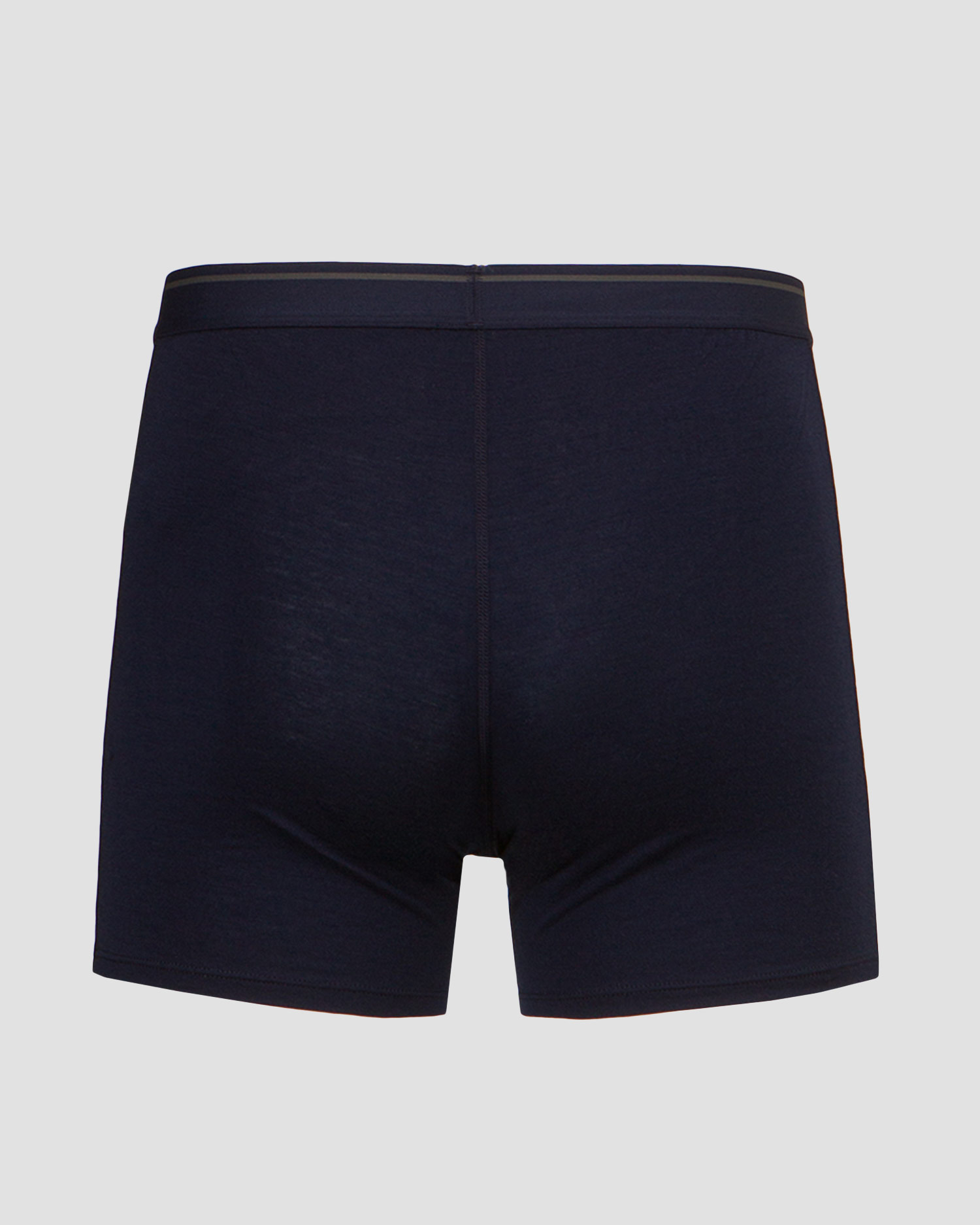 ICEBREAKER ANATOMICA Boxershorts