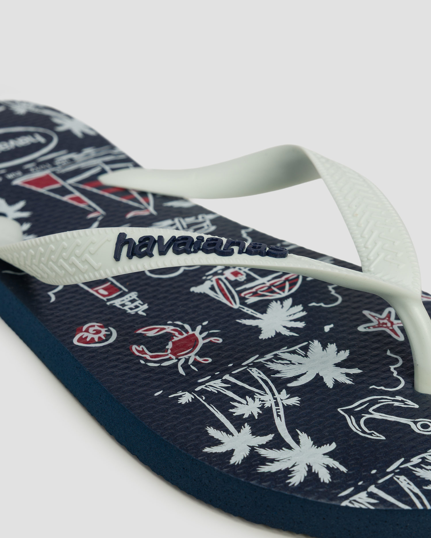 Pánské žabky Havaianas Top Nautical