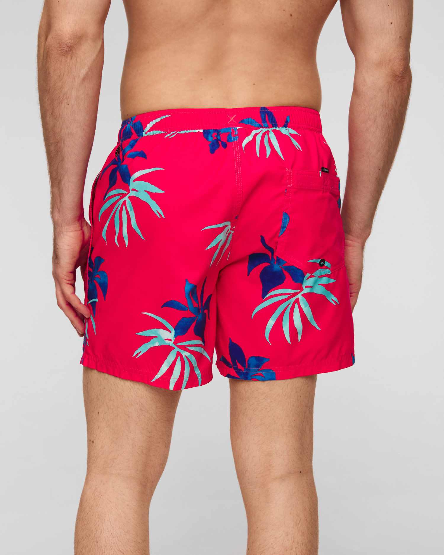 Pánske boardshortky Quiksilver Everyday Mix Volley 15