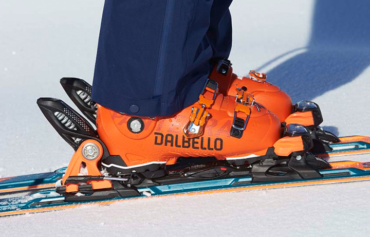 Dalbello