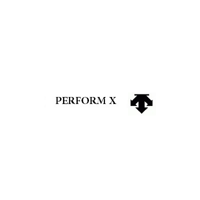 Performex Opis technologii